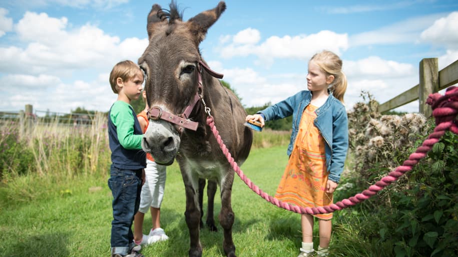 Roves Farm - image 1