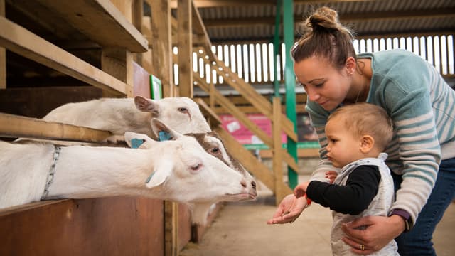 Roves Farm