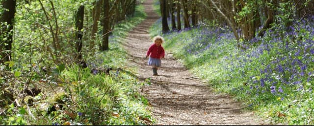 Siccaridge Wood near Sapperton