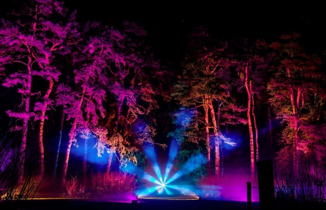Enchanted Christmas - image 1