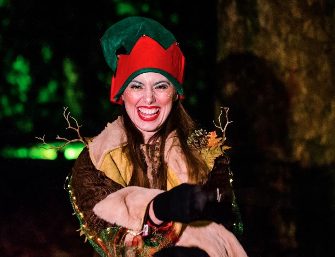 Enchanted Christmas - image 2