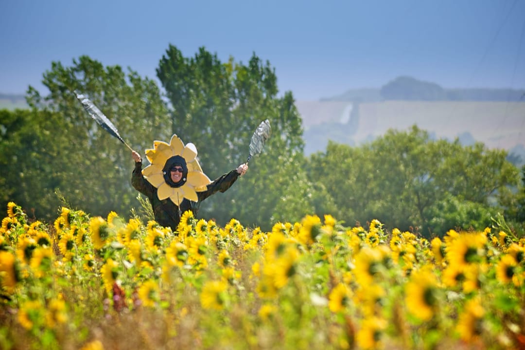 Summer Holidays @ Roves Farm - image 1