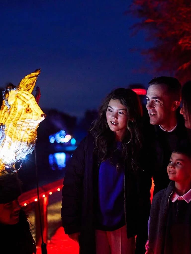 Mystical Marsh Lantern Experience - image 1